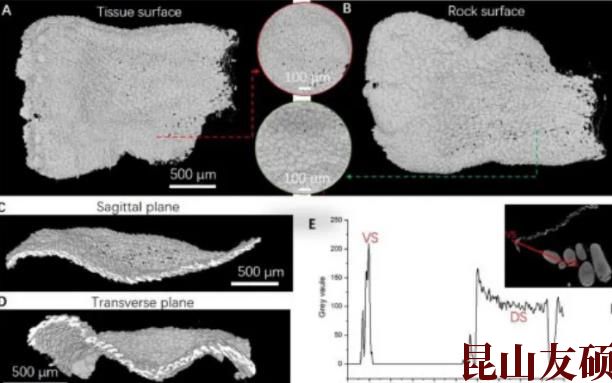 1748929106116865.jpg 360截图20250603133731755.jpg