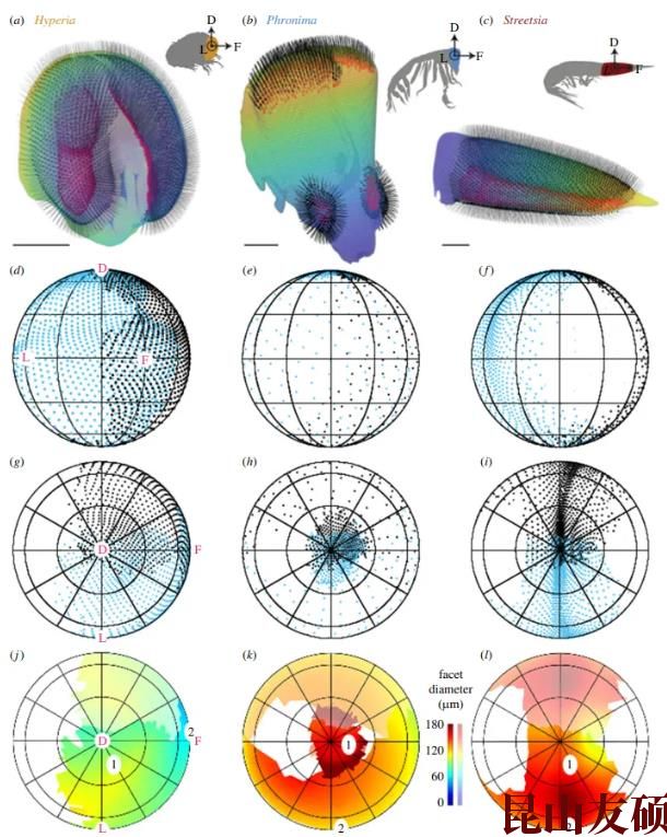1748929125245757.jpg 360截图20250603133753613.jpg